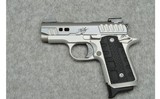 Kimber ~ Micro 9 RAPIDE BLACK ICE ~ 9mm - 2 of 2