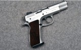 Tanfoglio ~ Witness Stock ~ 10MM - 1 of 2