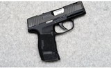 SIG Sauer ~ P365 SAS ~ 9MM - 1 of 2