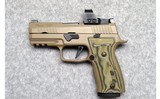 SIG Sauer ~ P320 Custom Works ~ 9MM - 2 of 2