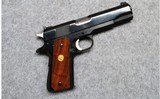 Colt ~ ACE Service Model ~ .22LR - 1 of 2