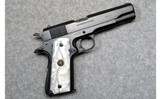 DGFM - FMAP ~ Gendarmeria Nacional 1911 ~ .45 Auto - 1 of 2