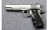 AMT ~ Government Model ~ .45 Cal - 2 of 2