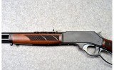 Henry ~ H010G ~ .45-70 Gov't - 7 of 10