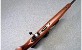 Weatherby ~ Mark XXII ~ .17 HMR - 7 of 13