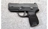 SIG Sauer ~ P320 Sub Compact ~ 9mm - 2 of 2