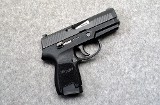 SIG Sauer ~ P320 Sub Compact ~ 9mm - 1 of 2