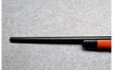 Rock Island Armory ~ TCM 22 BA ~ .22 TCM - 10 of 12