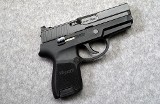 SIG Sauer ~ P250 ~ .380 Auto - 1 of 2