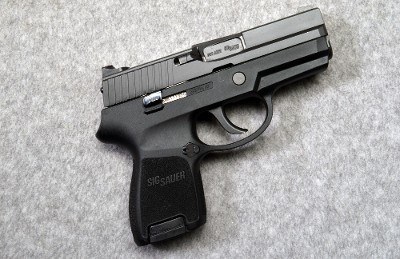 SIG Sauer ~ P250 ~ .380 Auto