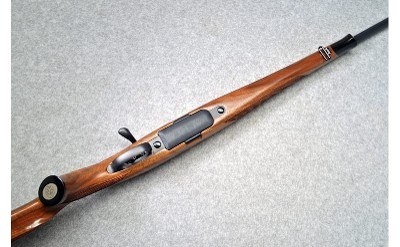 Steyr Arms ~ CL II ~ .308 Win - Image 5 of 10
