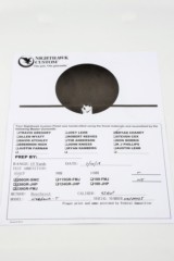 Nighthawk War Hawk .45 Blackout Railscales - 16 of 16