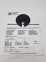 Nighthawk Custom Shadow Hawk .45 ACP RMR Flag - 8 of 8