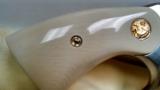 COLT PYTHON 2 1/2 SS 100% NIB IVORY GRIPS - 5 of 15
