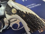 COLT PYTHON GENUINE STAG GRIPS - Image 13 of 15