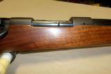 WInchester Pre 64 Model 70 Standard Weight .243 w/ Custom Wood 98% - 2 of 6