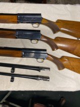 Belgium Browning A-5 collection - 4 of 6