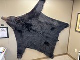 Black Bear Rug or Wall Hanging - 586 lbs. - 5 of 8