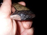 Ron Best / Ron P. Nott Fixed Integral Hunter Knife W/Box Elder Burl - 3 of 9