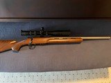 Cooper Model 57M LVT, 17 Mach 2 Rifle