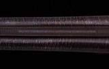 Parker PH 12 Gauge – 1892, FACTORY UNTOUCHED HIGH CONDITION, vintage firearms inc - 17 of 19