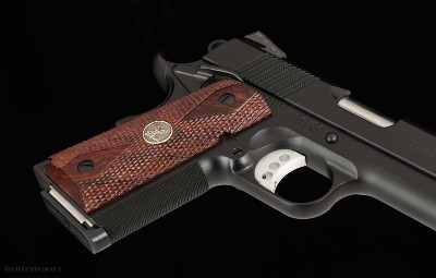 Wilson Combat CA Stealth, .45ACP - CA APPROVED, vintage firearms - Image 15 of 17