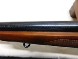 Winchester Pre-64 M70 Standard,243 Win. - 16 of 19