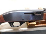 Remington Nylon 66, 22LR Semi Auto Rifle - 3 of 21