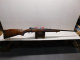 Winchester Pre-64 M70 Standard,243 Win. - 1 of 18