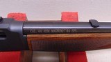 Henry Big Boy Steel
44 Magnum - 19 of 21