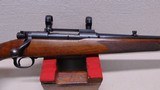 Winchester Pre-64M70Featherweight270 Winchester.!!! SOLD !!!To Justin - 3 of 20