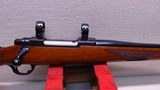 Ruger M77R
7x57MM
Tang Safety - 3 of 19