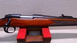Remington 725
244 Remington - 3 of 21