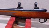 Winchester M70 DBM Sporter Magnum 300 Winchester Magnum - 7 of 24