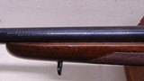 Winchester Pre-64 M70 Standard Rifle 243 Winchester - 15 of 25