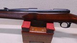 Winchester Pre-64 M70 Standard Rifle 243 Winchester - 7 of 25