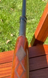 Winchester Model 12 12g. Trap"Y" - 10 of 13