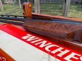 WINCHESTER MODEL 101 LIVE BIRD PIGEON GRADE - 12 GA - 3 of 15