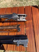 Caesar Guerini Essex 28g CUSTOM UPGRADE! - 13 of 14