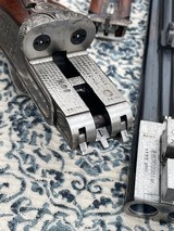 Grulla 216 28gM/F - 16 of 17