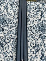 Grulla 216 28gM/F - 12 of 17