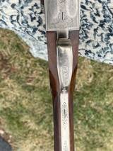 Grulla 216 28gM/F - 11 of 17