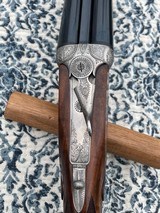 Grulla 216 28gM/F - 8 of 17