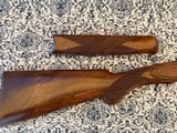 Caesar Guerini Essex small frame stock and forend