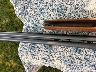 Blaser F16 Game 30