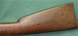 Springfield Trapdoor 45-70 - 7 of 15