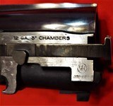 Ruger Red Label 12ga NIB 3