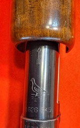 Winchester Model 12 Pigeon grade - 13 of 15