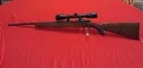 Ruger M77/22
22lr rifle with scope
