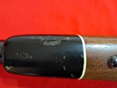 Winchester Model 70 in 22-250 with scope - Image 8 of 15